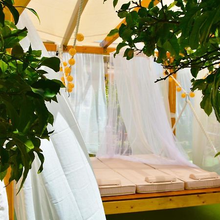 Converted Shed Studio & Garden Hanging Bed Pórto Ráfti エクステリア 写真